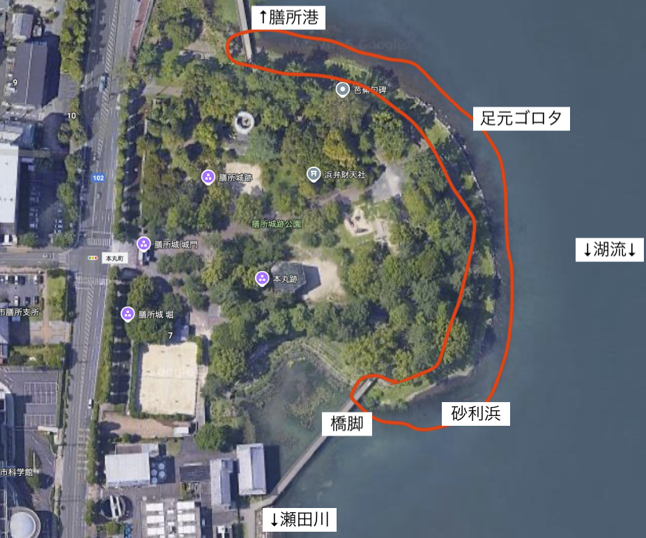 膳所城公園の航空写真
本湖側に飛び出した形となっており,湖流がよく当たる
