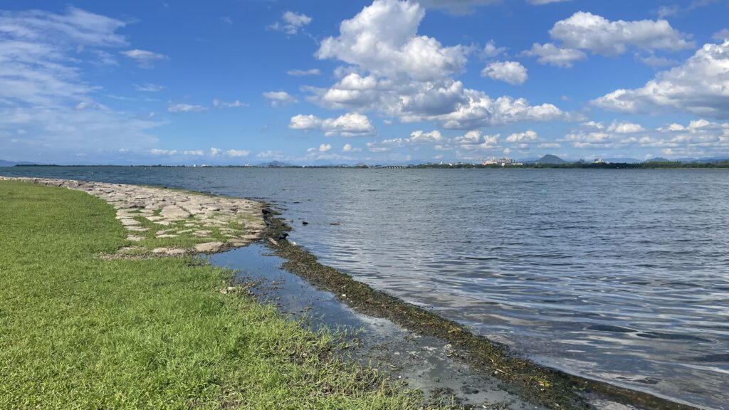 砂浜から石積み護岸に変わる場所