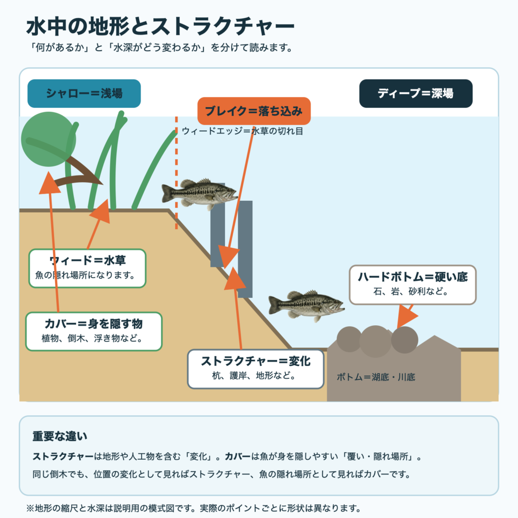 オオクチバスの位置と、シャロー、ウィード、ウィードエッジ、ブレイク、ディープ、ボトム、ハードボトムの関係を示す湖岸断面図