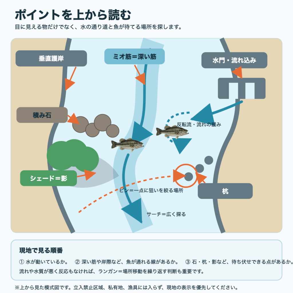 オオクチバスの位置と、水門、流れ込み、垂直護岸、石積み、杭、ミオ筋、シェードを上から見たポイント模式図