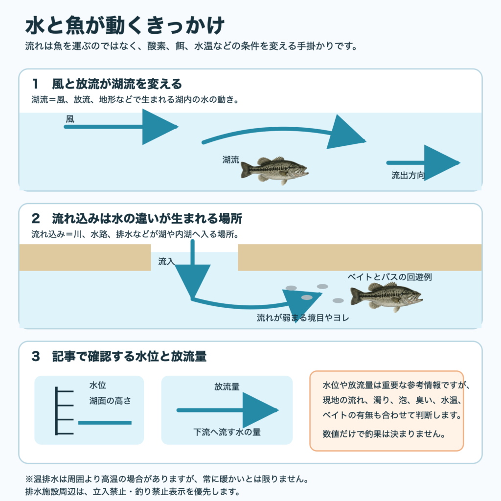 風、湖流、流れ込み、水位、瀬田川洗堰の放流量、ベイトとオオクチバスの移動を示す図